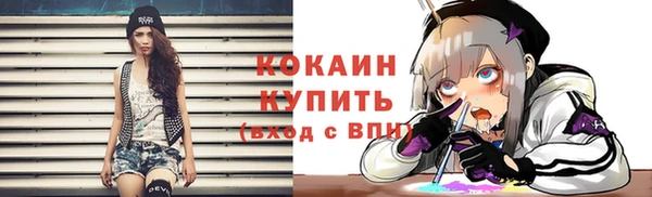 спайс Алзамай