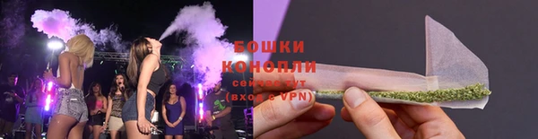 spice Арсеньев