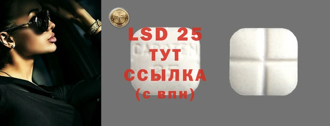спайс Алзамай