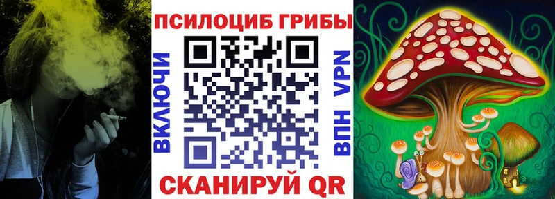 мега онион Выкса Галлюциногенные грибы Magic Shrooms наркота